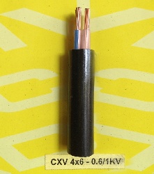 CXV -4x6-0.6/1kV Cu/XLPE/PVC